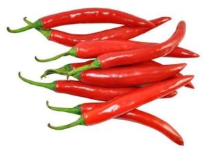 Fresh Red Chilli