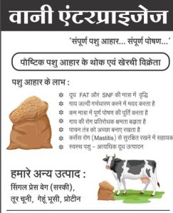 Avni Pashu Aahar Cattle Feed