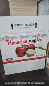 Apple Corrugated Boxes