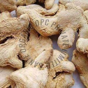 Dried Ginger