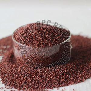 finger millet