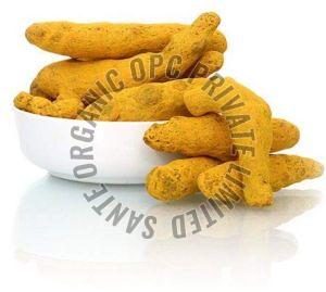 turmeric finger