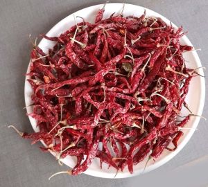 Syngenta Dry Byadgi Red Chilli