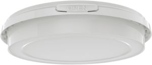 100ml Rkl Food Packing Container