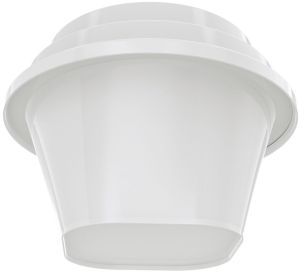 100ml Sbrd Food Packing Container