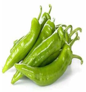 Indian Green Chilli