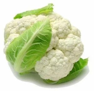 Premium White Cauliflower