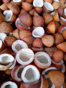 Half Cut Coconut Copra