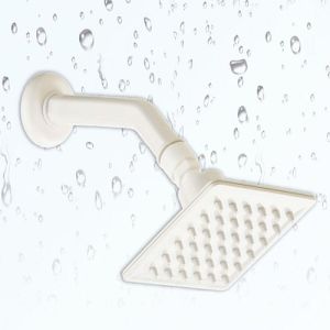 Ptmt Square Shower