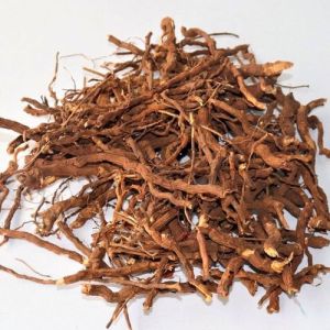 Nannari Roots