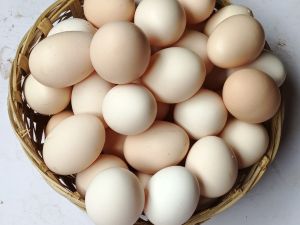 Pure Desi Eggs
