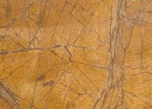 Rainforest Gold Marble Slab