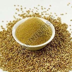 Pure Ground Coriander Powder