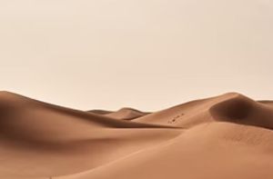 1Kg Cleanserve Drain Cleaner CRX Bio-Enzyme Liquid for Clogged Drains