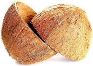 Dry Coconut Shell