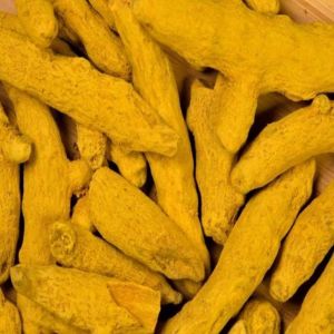 Natural Turmeric Finger