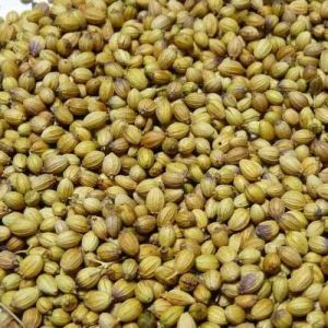 Raw Coriander Seeds