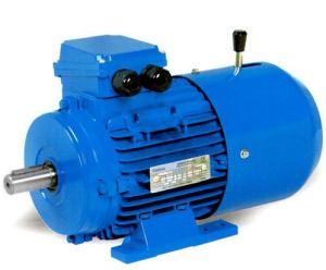Electric Brake Motor