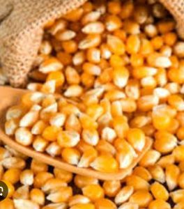 Yellow Maize