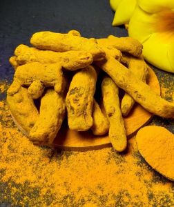 Turmeric Finger