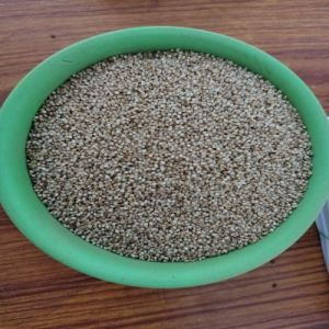 Little Millet Rice