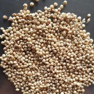 Natural White Sorghum Millet