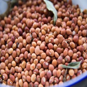 Organic Pigeon Pea Seeds