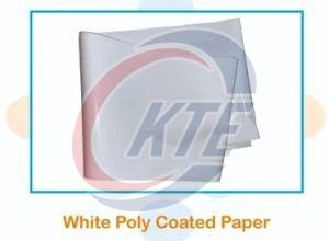 Poly Coated Chromo Paper