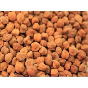 Brown Desi Chana Seed