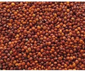 Kudrat Natural Arhar Seed