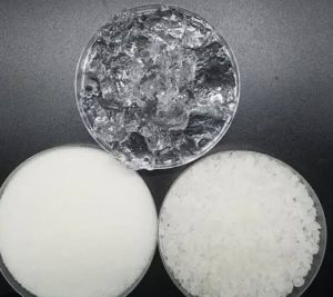Hydrogel Absorbent Polymer