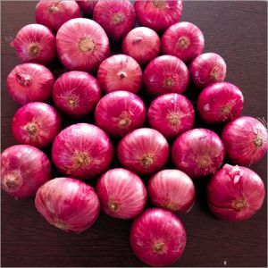 Fresh Red Onion