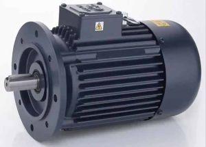 Industrial Electric Motor