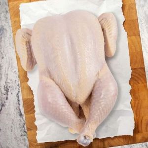 Fresh Whole Chicken Meat