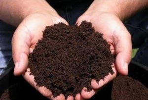 Organic Compost