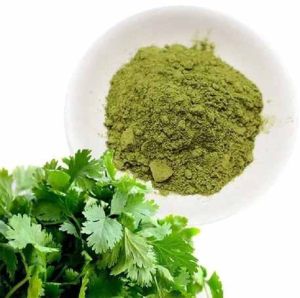 Dried Coriander Leaves Powder