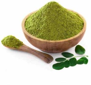 Dried Moringa Leaf Powder