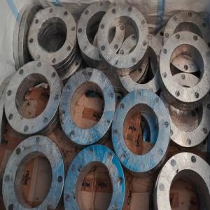 SS Flanges
