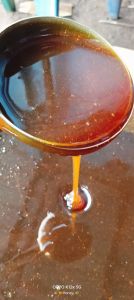 Raw Wild Forest Honey