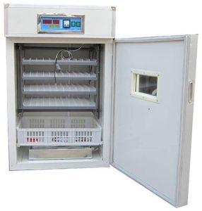 1000 Eggs Hatchery Machine