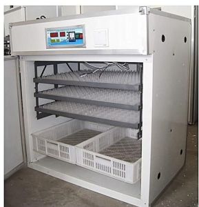 1500 Eggs Hatchery Machine