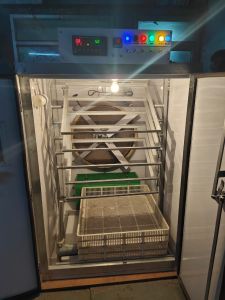 2000 Eggs Hatchery Machine