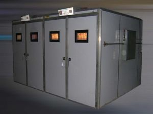 20000 Eggs Hatchery Machine