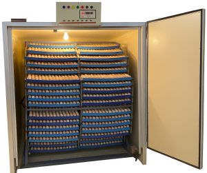 3000 Eggs Hatchery Machine