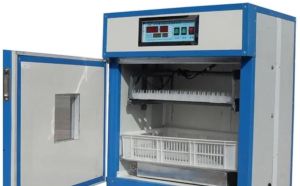 500 Eggs Hatchery Machine