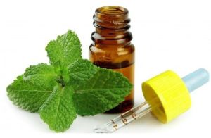 Natural Peppermint Oil