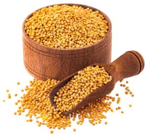 Yellow Mustard Seeds