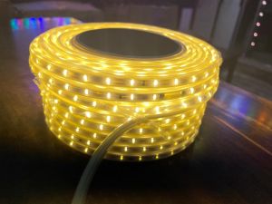 LED Rope Light