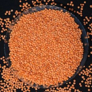 Malka Masoor Dal