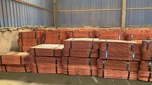 Copper Cathode Sheets